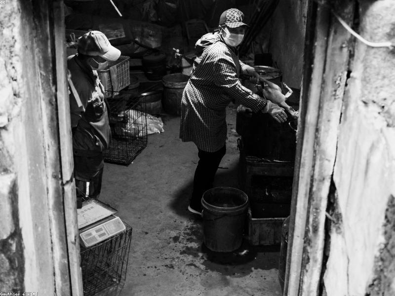 Street food vendor cooking at a night market in China
